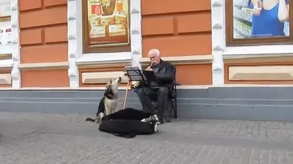 Căţelul cântăreţ: Un muzician de pe stradă este acompaniat de un câine talentat VIDEO