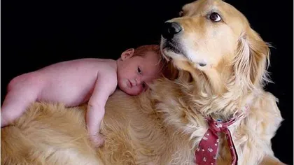 Un câine pe post de animal de companie îi protejează pe copii de astm şi alergii