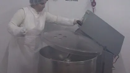 Fabrica de sarmale româneşti, pentru export. Află în ce ţări străine ajunge popularul fel de mâncare VIDEO