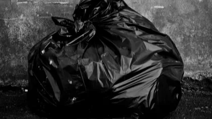Descoperirea dintr-un sac de gunoi care a făcut o femeie să ŢIPE: Nu mă aşteptam să găsesc ceva viu acolo