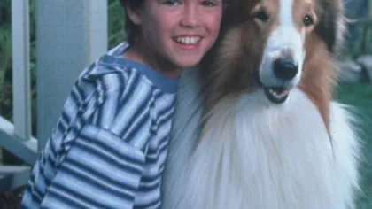 Vă mai amintiţi de serialul Lassie? Cum arată Timmy, la aproape 30 de ani GALERIE FOTO