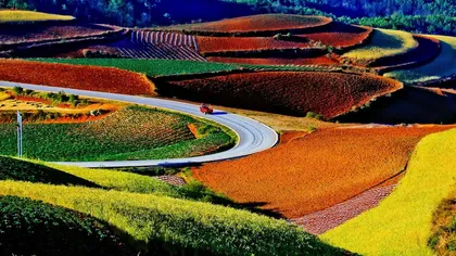UIMITOR: Terenurile agricole din China, spectacol de CULORI vibrante şi PEISAJE ireale GALERIE FOTO