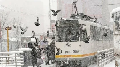 PROGRAM RATB DE SĂRBĂTORI: Cum circulă mijloacele de transport în Bucureşti, de Crăciun şi Revelion