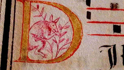Un desen medieval înfăţişând un cangur ar putea schimba istoria Australiei