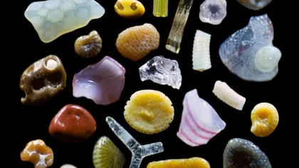 O lume plină de minunăţii: Cum arată nisipul văzut la microscop FOTO