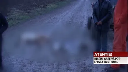 SCENE ŞOCANTE: Câini măcelăriţi de vânători în Tulcea VIDEO