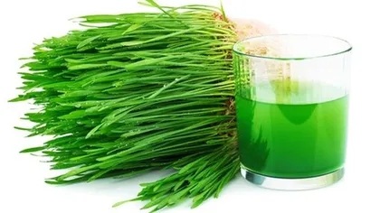 Ce este sucul din iarbă de grâu, cum se prepară şi cum are grijă de sănătatea noastră