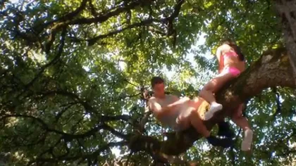 Ce se întâmplă dacă faci sex în copac: Este extrem de dureros pentru bărbaţi VIDEO