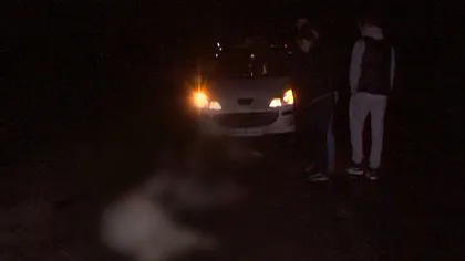 Două maşini au spulberat o turmă de capre în Suceava VIDEO