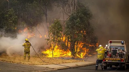 Canicula face ravagii în Australia: O persoană a murit din cauza incendiilor de vegetaţie