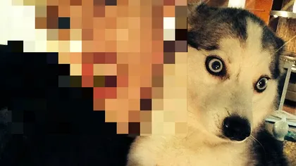 Miley Cyrus şi-a şocat până şi câinele: Ce a făcut vedeta de şi-a speriat animalul FOTO