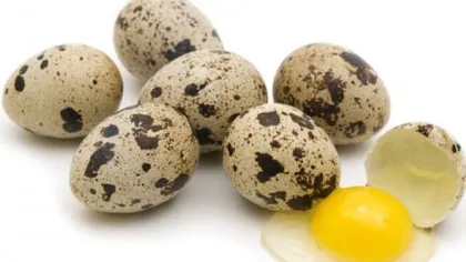 Ouăle de prepeliţă fac MINUNI pentru sănătatea ta