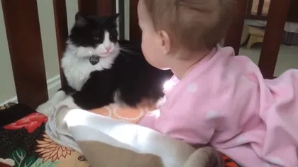 Moment unic din viaţa unui BEBELUŞ, filmat de părinţi: O pisică are grijă de el ca de propriul pui VIDEO