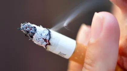 Cum se fabrică ţigările: Chiar dacă fumezi, cu siguranţă nu ştiai asta VIDEO