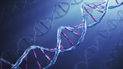 Ciuma neagră a modificat genomul uman