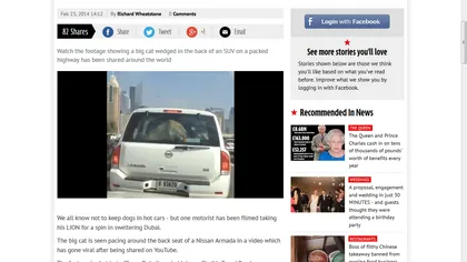Leu cu şofer: Un arab din Dubai şi-a scos felina la o plimbare cu masina, prin oraş VIDEO
