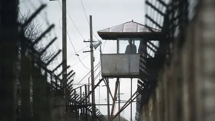 Percheziţii la Penitenciarul Colibaşi, într-un dosar de TRAFIC DE DROGURI