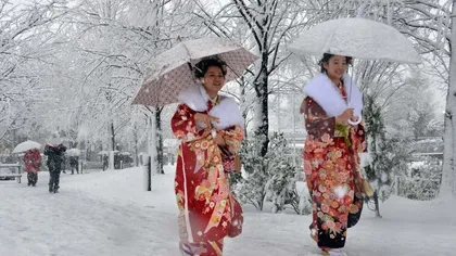 Căderi istorice de zăpadă în Japonia: 19 morţi în trei zile