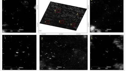 Avionul dispărut: Circa 300 de obiecte au fost localizate de un satelit thailandez în zona de căutare
