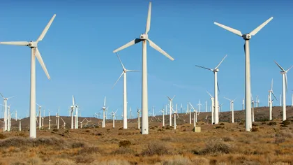 Cota obligatorie de energie electrică din surse regenerabile care beneficiază de certificate verzi, stabilită de Guvern