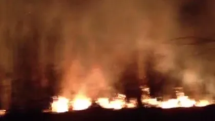 Incendiu de proporţii: Zeci de hectare de stufăriş din Argeş au fost cuprinse de flăcări