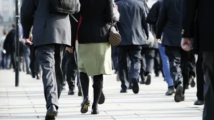 Rata şomajului va scădea de la 7% în 2014 la 6,6% în 2017
