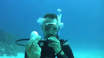 EXPERIMENT INEDIT: Ştiai ce se întâmplă dacă spargi un ou sub apă?