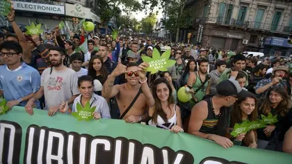 Manifestaţii în Canada pentru legalizarea consumului de canabis