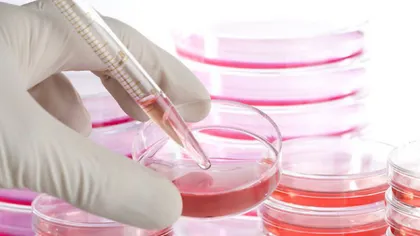 România va avea acces şi în acest an la registrul internaţional al donatorilor de celule stem hematopoietice