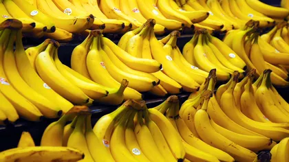 Bananele modificate genetic ar putea schimba lumea
