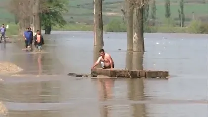 Disperare maximă: Romii din Teleorman adună lemnele aduse de viitură VIDEO