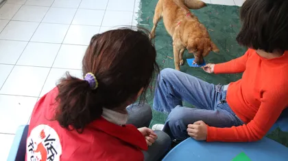 Un nou proiect în Bucureşti: Câinii de terapie ajută copiii cu autism