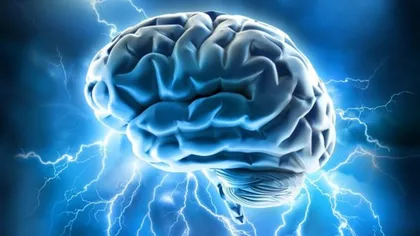 Corpul uman: 10 descoperiri fabuloase despre creier