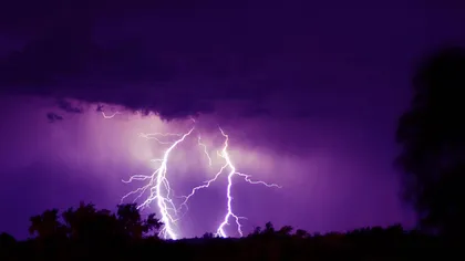 Imagini uimitoare: Momentul incredibil în care un fulger pulverizează un copac VIDEO