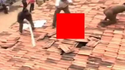 Scene incredibile filmate în India: Un LEOPARD ÎNFOMETAT, ajuns pe un acoperiş, atacă oamenii VIDEO