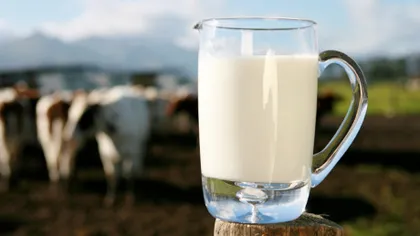Ce beneficii aduc laptele şi brânzeturile