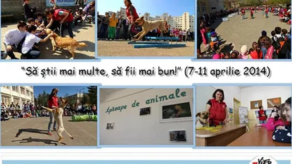 Şcoala Altfel: Câinii de terapie de la Vier Pfoten se vor întâlni cu elevii şcolilor din Bucureşti
