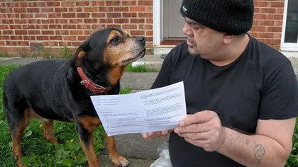 Un câine va vota la alegerile europarlamentare de anul acesta