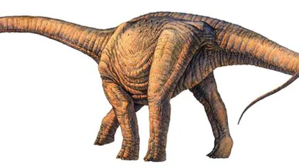 Scheletul celui mai mare dinozaur din lume, descoperit in Argentina: Era cât 14 ELEFANŢI FOTO