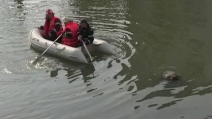 Bătrână de 84 de ani, găsită moartă într-un râu. Femeia a lăsat un BILET DE ADIO