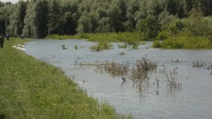 Scandal în Mehedinţi: Evacuarea apei dintr-un lac natural a inundat peste 100 de hectare de culturi