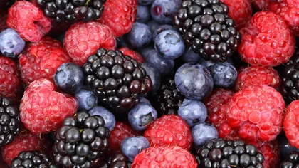 Beneficiile uimitoare ale fructelor de pădure pentru sănătatea ta