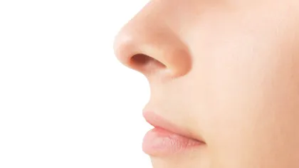 Cum îţi dai seama ce fel de om e cu adevărat, în funcţie de forma nasului