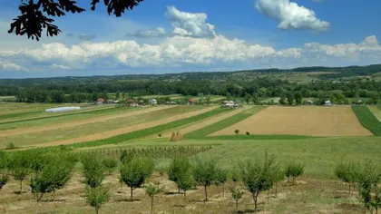 Ministerul Agriculturii: România are 800.000 de hectare de teren nelucrat
