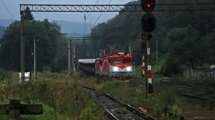 Întârzieri de zeci de minute, după ce un copac a căzut pe locomotiva unui tren