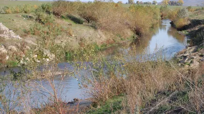 Un copil s-a înecat în râul Bârlad, după ce a încercat să spele un căţel