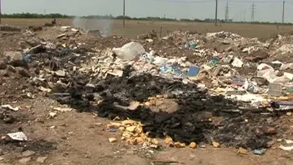 FOCAR de INFECŢIE: Zeci de saci cu carne de pui, aruncaţi pe câmp lângă Timişoara VIDEO