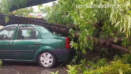 Furtunile au făcut RAVAGII în ţară. Mai multe maşini au fost DISTRUSE, iar casele INUNDATE FOTO