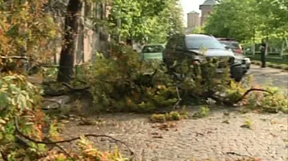FURTUNI PUTERNICE în Capitală şi în ţară: Maşini avariate de copacii doborâţi de vânt VIDEO