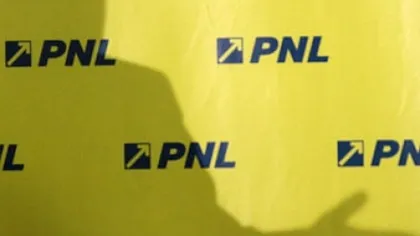 PNL mai pierde doi deputaţi: Ion Cupă şi Mihai Stănişoară şi-au dat demisia din partid